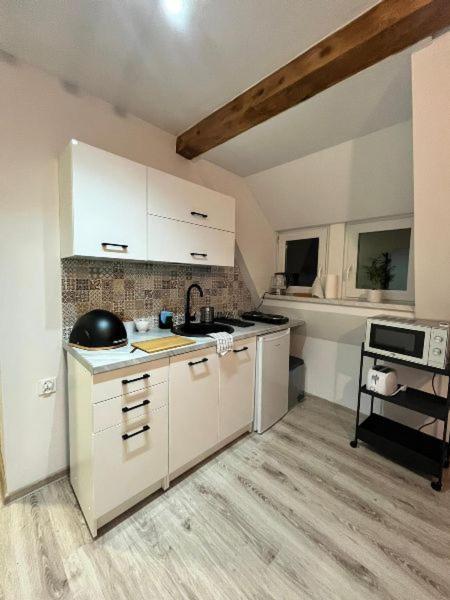 Apartament Sudecki Duszniki Zdrój